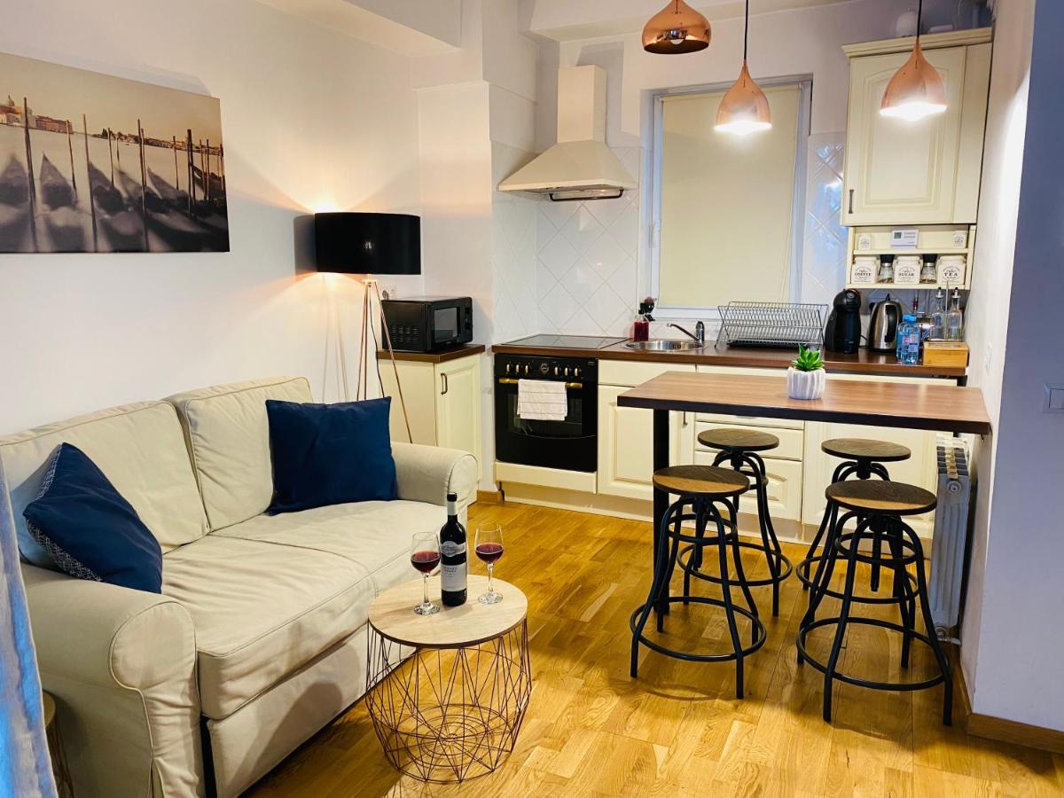 Downtown Studio Apartment Клуж-Напока Екстериор снимка