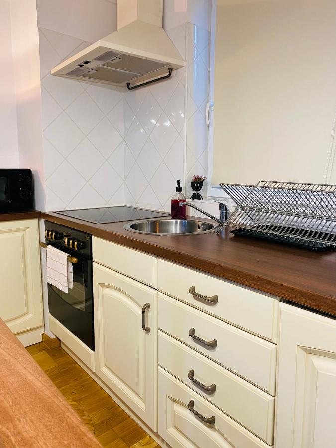 Downtown Studio Apartment Клуж-Напока Екстериор снимка